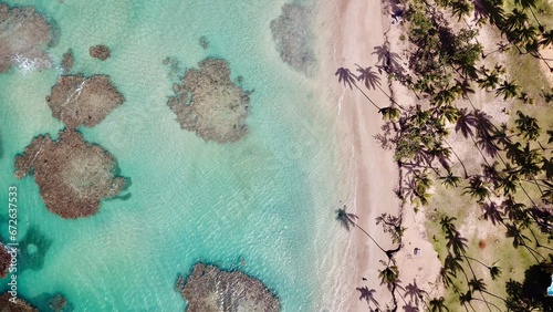 Tropical beach with palm trees from above