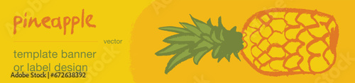  Template pineapple banner, pineapples illustration, hand drawn vector exotic fruit for vegan banner, juice or jam label design. Natural ananas background for healthy food packaging.