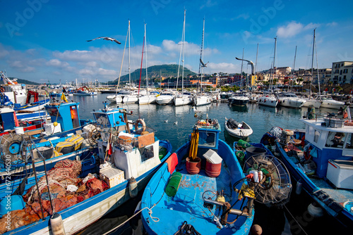 Fishing Vessels in the Port photo