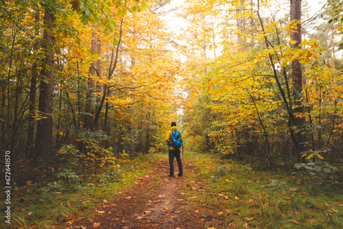 Backpacker walks through the colourful autumn forest in the Hoge Kempen National Park in eastern Belgium. Wilderness in Flanders in November © Fauren