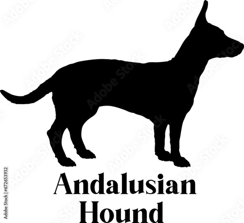 Andalusian Hound Dog silhouette breeds dog breeds dog monogram logo dog face vector SVG PNG EPS