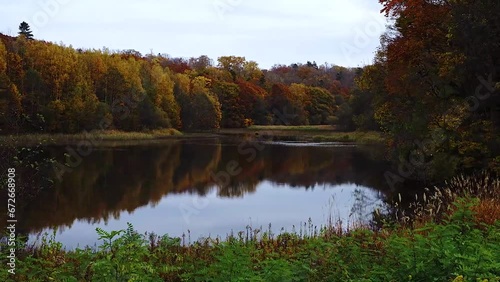 Wallpaper Mural 湖面に映る紅葉　タイムラプス（ズームアウト） Torontodigital.ca