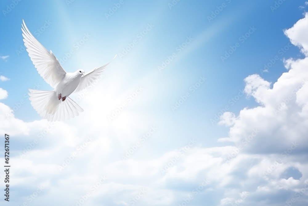 sky funeral background with white dove, copy space for text - obrazy, fototapety, plakaty 