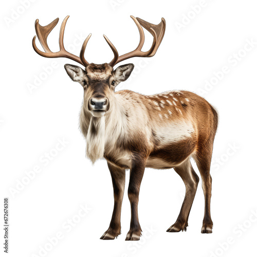 Reindeer on Stylized Background Isolated on Transparent or White Background, PNG