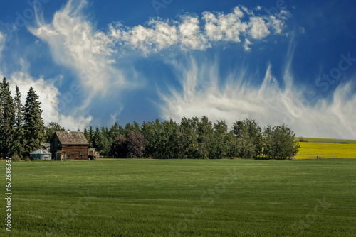 Rustic farm buildings in a field Red Deer County Alberta Canada