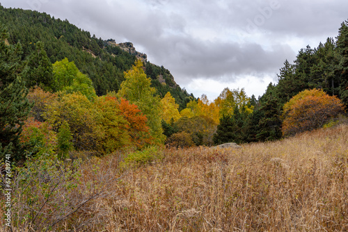 Diverse Autumn Palette: Eyne Valley's Splendid Foliage in the French Pyrenees. photo