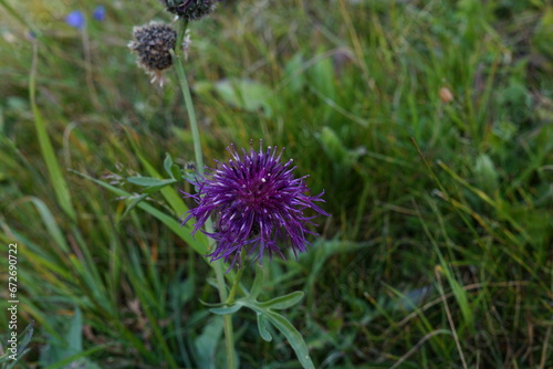 dunkles Leuchten photo