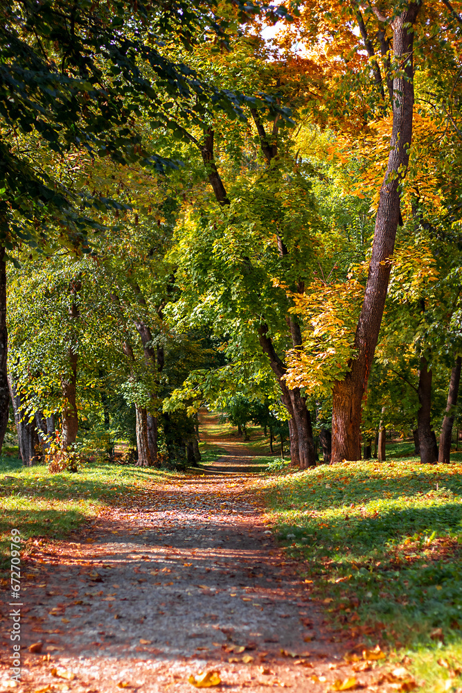 Pedestrian path in the autumn park. Autumn landscape.