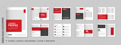 Company profile, multipage flyer brochure, portfolio magazine, annual report, catalog and a4 multipage template design