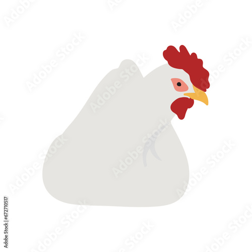 White Leghorn Chicken