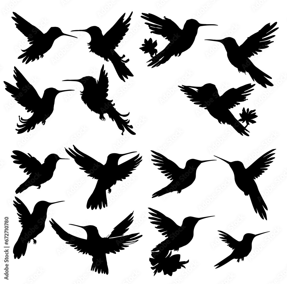 Obraz premium Hummingbird silhouettes