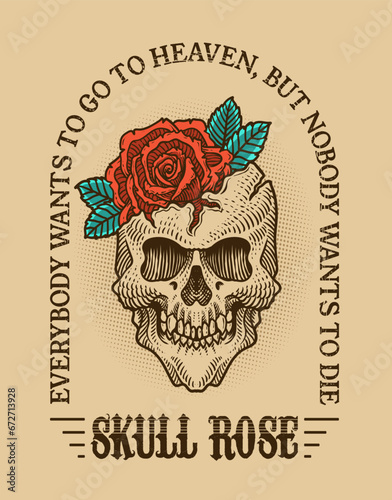 Illustration vintage skull with rose flower