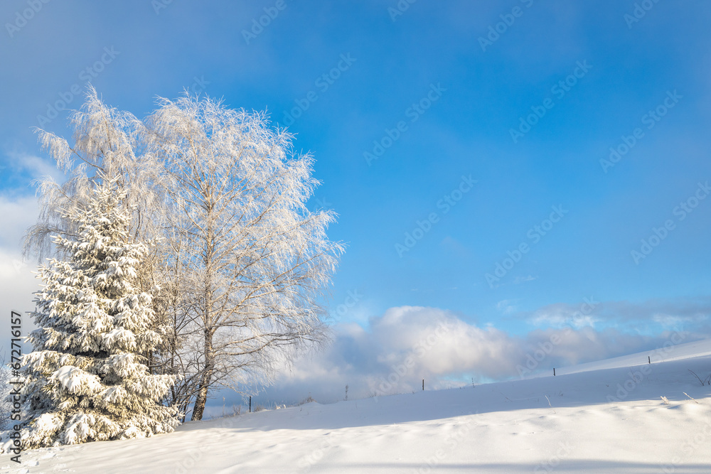Snowy trees in the foreground of the winter landscape at sunny day. The Mala Fatra national park in northwest of Slovakia, Europe.