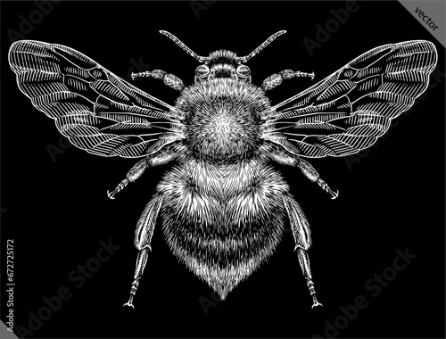 Engrave isolated bumblebee hand drawn graphic vector illustration