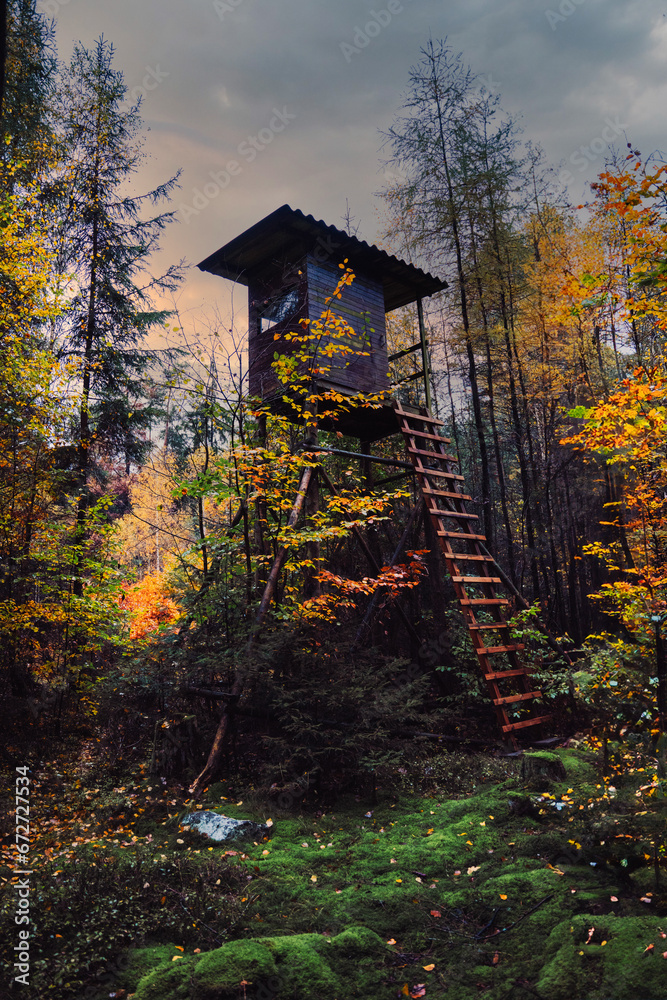 hunting cabin in the autumn forest