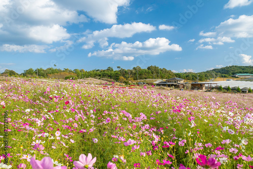 広島県世羅郡世羅町「花の駅せら」の風景
