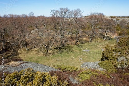 Otterböte bronze age settlement at the bottom of a hill, was a settlement of seal hunters. It consists of the remains of nine round huts, several rubbish heaps and a little well on the island of Kökar photo