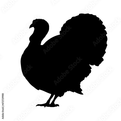 turkey silhouette - vector illustration