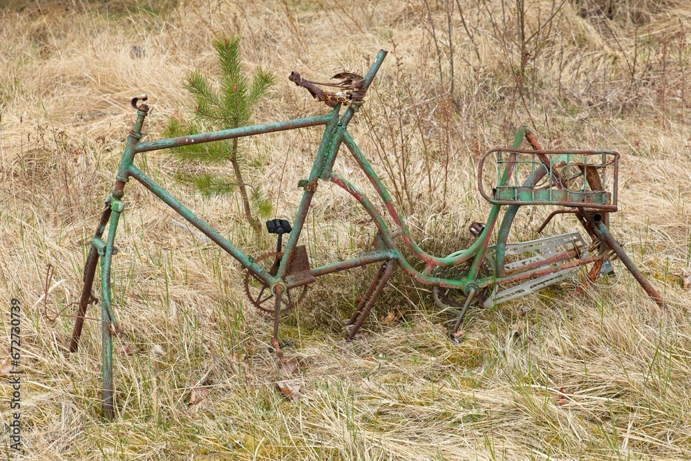 Stripped weathered bicycle frame in nature. Stripped weathered bicycle frame in nature.