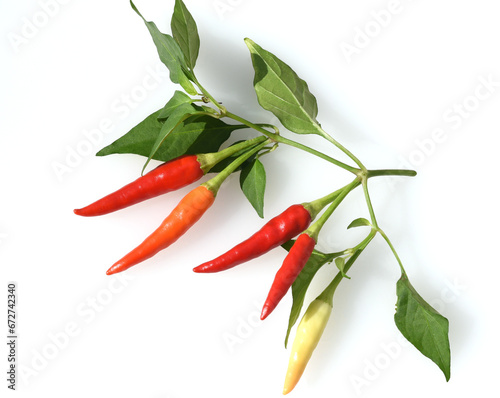 Chili-Mix, Peperoni, Capsicum, Annuum