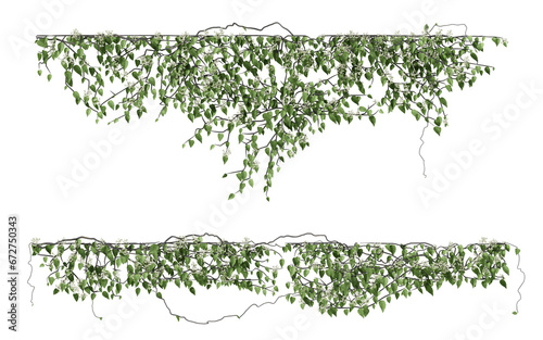 ivy plants isolated on transparent background 3d rendering