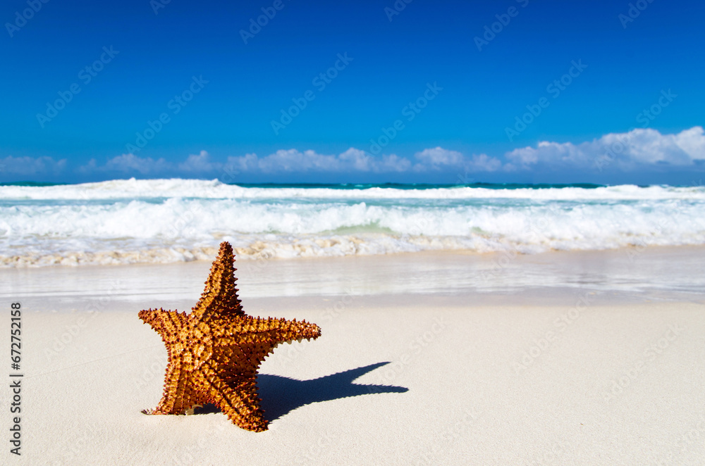 Beach and beautiful tropical sea. Red starfish on sunny tropical beach Beach and beautiful tropical sea. Red starfish on sunny tropical beach