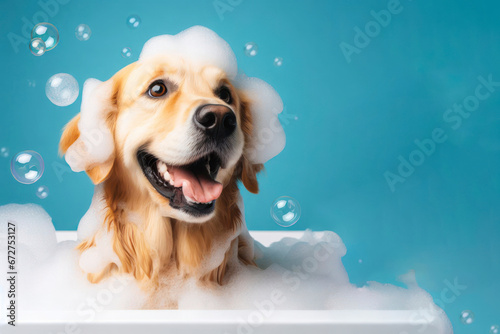 Happy Golden Retriever in bath with foam and bubbles. ai generative
