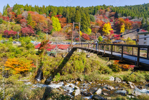 大井平公園の吊り橋と紅葉（愛知県豊田市稲武町）