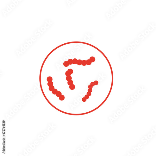 Streptococcus pyogenes illustration