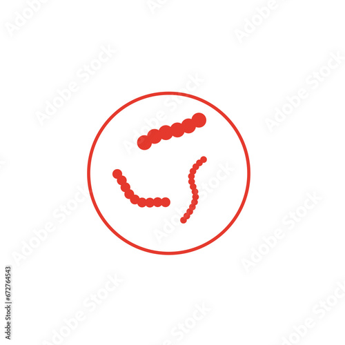 Streptococcus pyogenes illustration