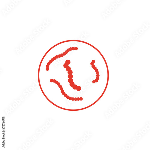 Streptococcus pyogenes illustration