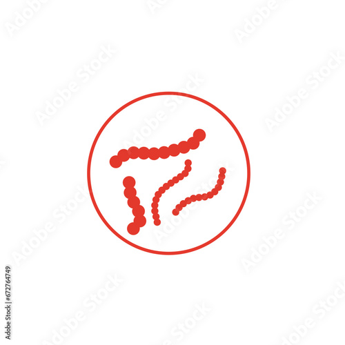 Streptococcus pyogenes illustration
