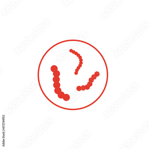 Streptococcus pyogenes illustration