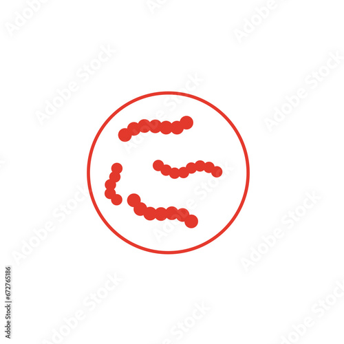 Streptococcus pyogenes illustration