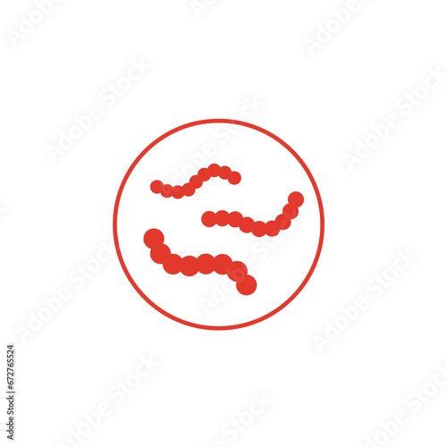 Streptococcus pyogenes illustration