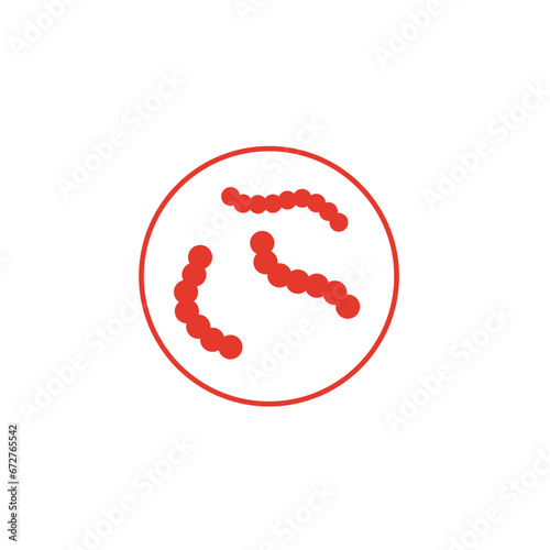 Streptococcus pyogenes illustration