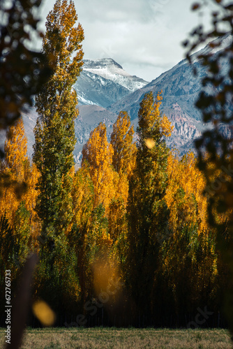 Mountainin autumn photo
