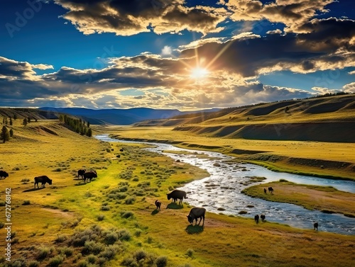 Where the Buffalo Roam