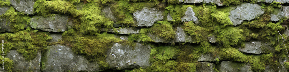 Mossy Rock Wall Texture Mossy Rock Wall Texture