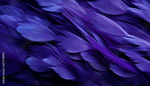 Purple feathers texture background with intricate digital art showcasing big bird feathers