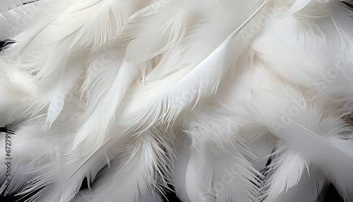 Abstract white feather texture background with intricate digital art of big bird feathers