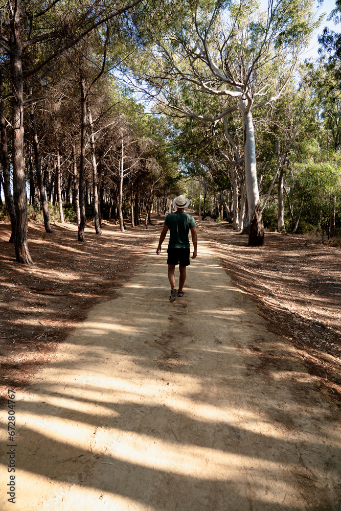Fototapeta premium Young man walking through alley of trees in a beautiful day at park.