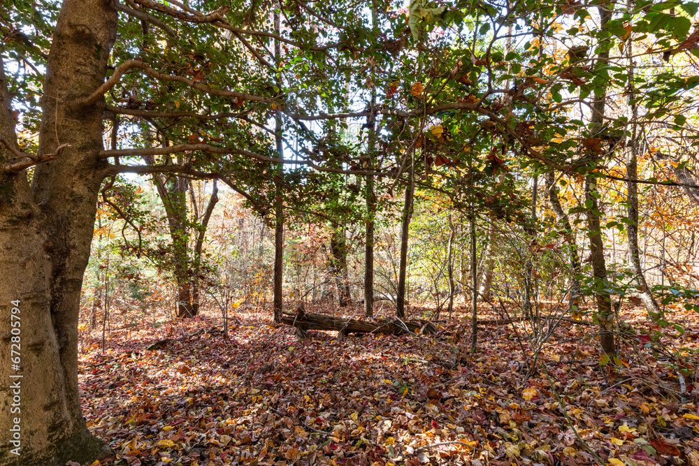 fall mountain land