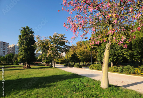 A view from the Central Park in Adana city in autumn photo