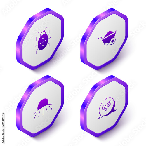 Set Isometric Colorado beetle, Wheelbarrow, Sunrise and Leaf icon. Purple hexagon button. Vector