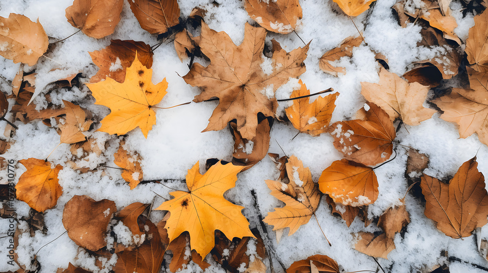 Fototapeta premium Autumn Leaves on Snow Background Texture