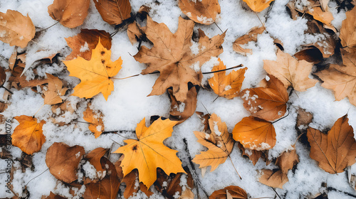 Autumn Leaves on Snow Background Texture