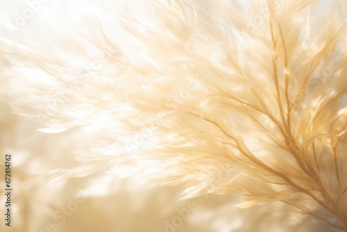 Ethereal golden feathers background  glowing light shines through  light and airy design