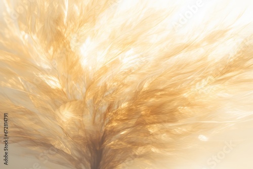 Ethereal golden feathers background  glowing light shines through  light and airy design