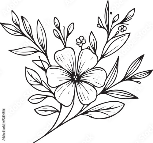 Fototapeta Naklejka Na Ścianę i Meble -  Madagascar periwinkle drawing,  Flowers branch of Periwinkle flower Hand drawing  vector illustration Vintage design elements bouquet Periwinkle natural collection, Easy flower coloring pages

